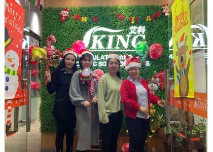 Merry CHRISTMAS and Happy New Year